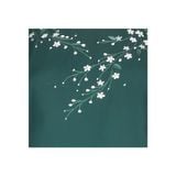  HẠNH - Áo kiểu 2491/4.68 