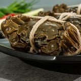  Lễ Hộp Cua Lông Thượng Hải 8 con 