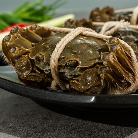  Lễ Hộp Cua Lông Thượng Hải 4 con 