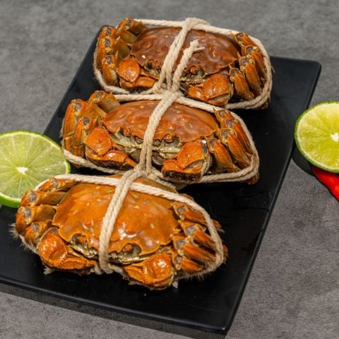  Lễ Hộp Cua Lông Thượng Hải 4 con 