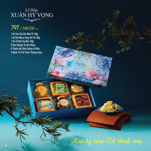  Lễ Hộp Xuân Hy Vọng 