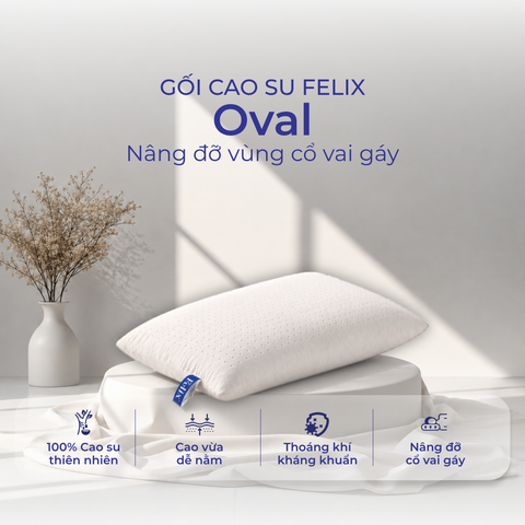  Gối cao su Felix - Gối Oval 