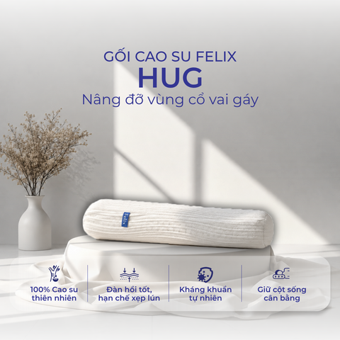  Gối cao su Felix - Gối ôm Hug 