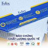 Nệm cao su than tre Premium Glacier Carbon