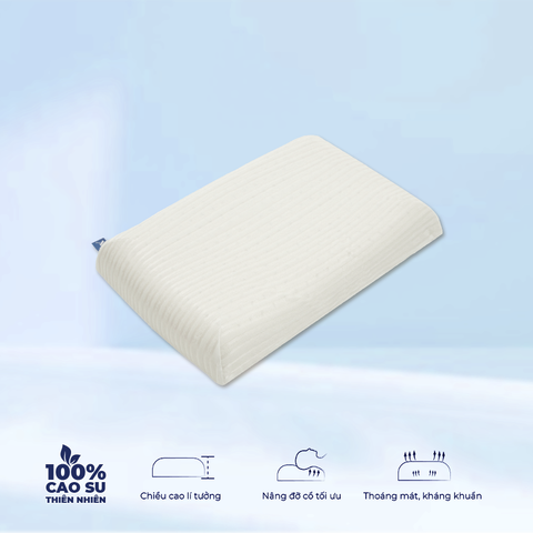  Gối cao su Felix - Gối Cake 