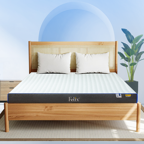 Nệm Cao Su Than Tre Premium Silver Carbon - 10cm