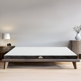  Nệm cao su Felix Support - Độ cứng trợ lực (Cấp độ 2) - 5cm 