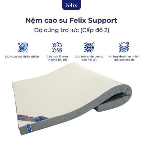  Nệm cao su Felix Support - Độ cứng trợ lực (Cấp độ 2) - 15cm 