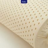 Nệm cao su Felix Support - Độ cứng trợ lực (Cấp độ 2) - 15cm