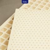 Nệm cao su Felix Support - Độ cứng trợ lực (Cấp độ 2) - 15cm