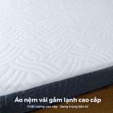Nệm cao su than tre Premium Glacier Carbon