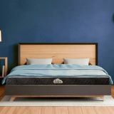 Nệm cao su Felix Support - Độ cứng trợ lực (Cấp độ 2) - 10cm