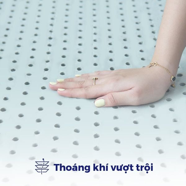Nệm cao su than tre Glacier Carbon - Mát lạnh sạch khuẩn