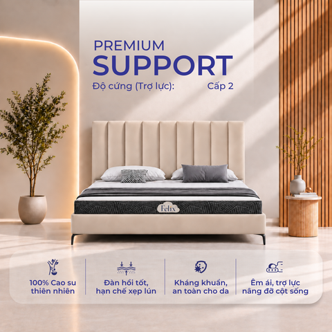  Nệm cao su Felix Support - Độ cứng trợ lực (Cấp độ 2) - 10cm 