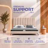 Nệm cao su Felix Support - Độ cứng trợ lực (Cấp độ 2) - 5cm