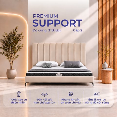  Nệm cao su Felix Support - Độ cứng trợ lực (Cấp độ 2) - 5cm 