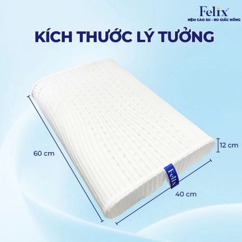  Gối Pudding - gối cao su thiên nhiên 