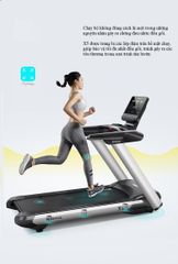 Máy Chạy Bộ SH-T6500A