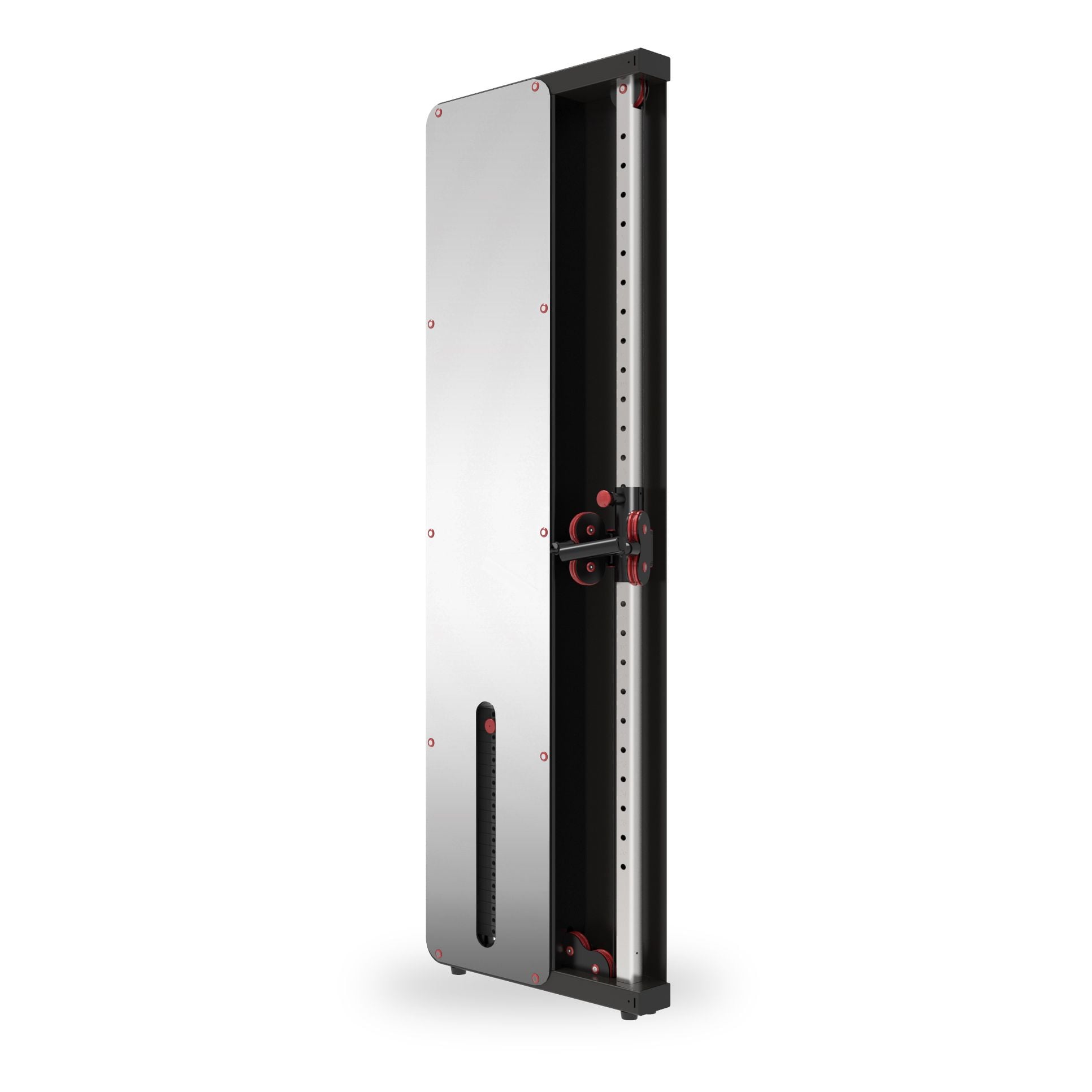 WALL MOUNTED FUNCTIONAL TRAINER︱BG01