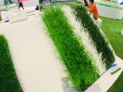 Thảm Cỏ