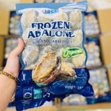Bào Ngư Nissi Thượng Hạng (Net 7)