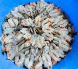Tôm Dẻo 2 Nắng