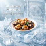 Bào Ngư Y.Fish (Net 6)