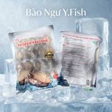 Bào Ngư Y.Fish (Net 6)