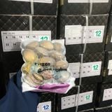 Bào ngư Net 5.5 (bán chạy)