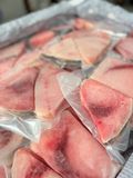 Cá Cờ Kiếm Phi-lê