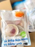 Sò Điệp Nhật Nửa Mảnh (đủ size)