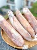 Mực Lá Câu (ngon Ngọt)
