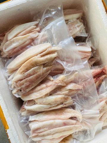 Gân Cá Ngừ Đại Dương