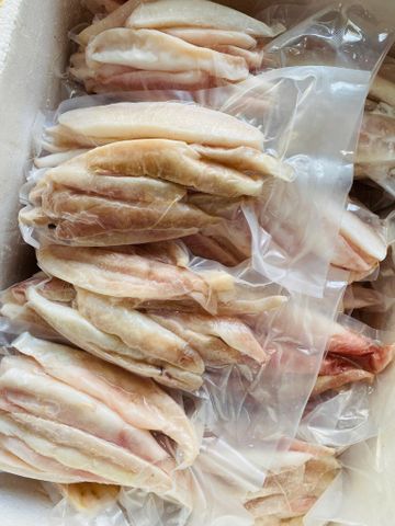 Gân Cá Ngừ Đại Dương