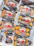 Cá Sặc Trứng 1 Nắng