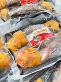 Cá Sặc Trứng 1 Nắng