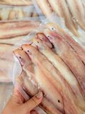 Cá Lưỡi Trâu 1 Nắng