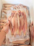 Cá Lưỡi Trâu 1 Nắng