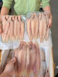 Cá Lưỡi Trâu 1 Nắng