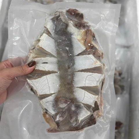 Cá Đuối 1 Nắng