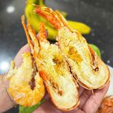 Tôm Hùm Đông Lạnh (Hàng Net 8)