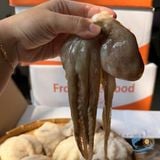 Bạch Tuộc Thiên Nhiên (Size 14-20 con/Kg)