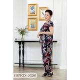 1587TCD - Đồ bộ Tole nữ trung niên mặc nhà Thành Duyên bông, tay con, quần dài ( 04-24)