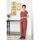 1587TCD - Đồ bộ Tole nữ trung niên mặc nhà Thành Duyên bông, tay con, quần dài ( 04-24)