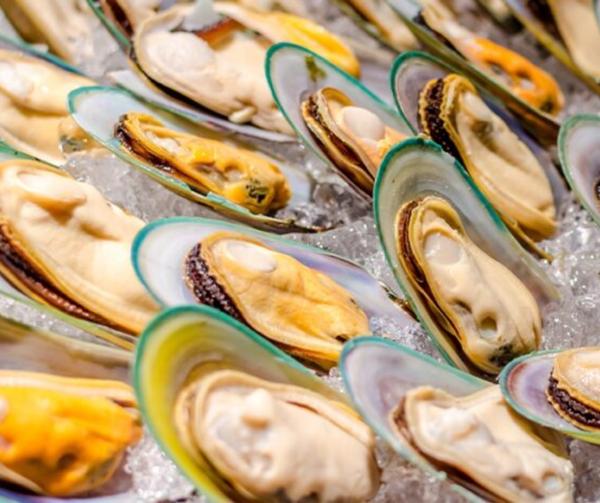  Vẹm xanh New Zealand- Hộp 1kg 