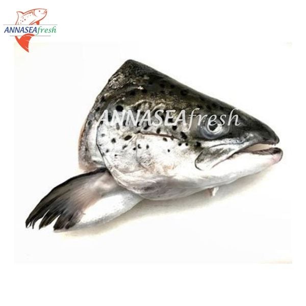  Đầu cá hồi đông lạnh 