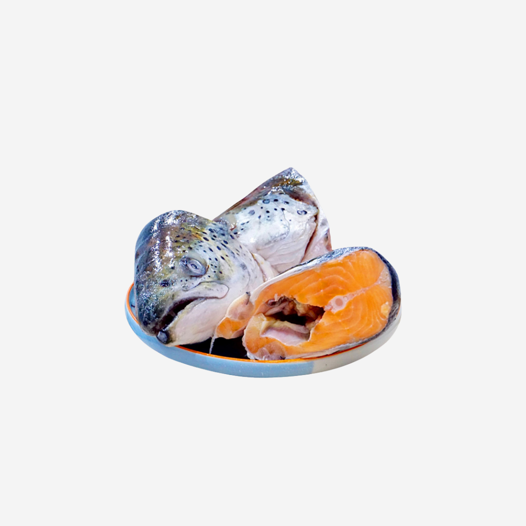  Đầu Cá Hồi Đông Lạnh Đặc Biệt 