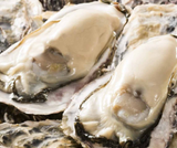 Hàu Nhật Miyagi-Hộp 1kg