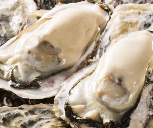  Hàu Nhật Miyagi-Hộp 1kg 