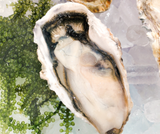 Hàu Nhật Miyagi-Hộp 1kg